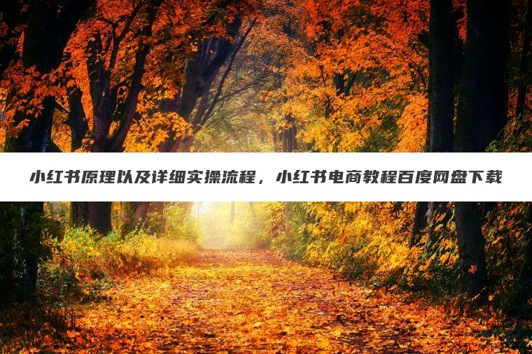 小红书原理以及详细实操流程，小红书电商教程百度网盘下载