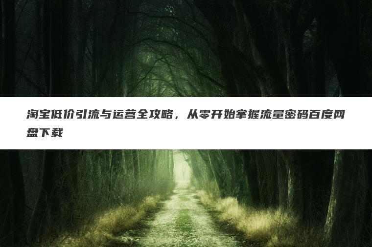 淘宝低价引流与运营全攻略,从零开始掌握流量密码百度网盘下载 淘宝低价引流与运营全攻略,从零开始掌握流量密码百度网盘下载