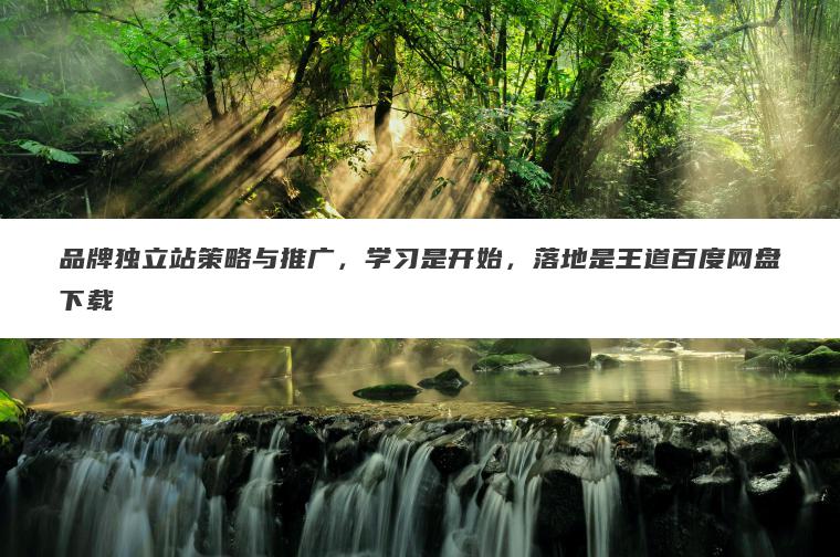 品牌独立站策略与推广,学习是开始,落地是王道百度网盘下载 品牌独立站策略与推广,学习是开始,落地是王道百度网盘下载
