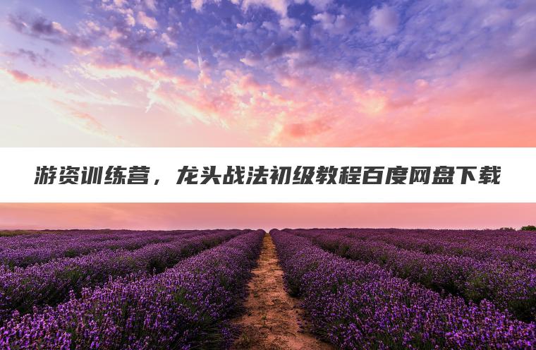 游资训练营,龙头战法初级教程百度网盘下载 游资训练营,龙头战法初级教程百度网盘下载