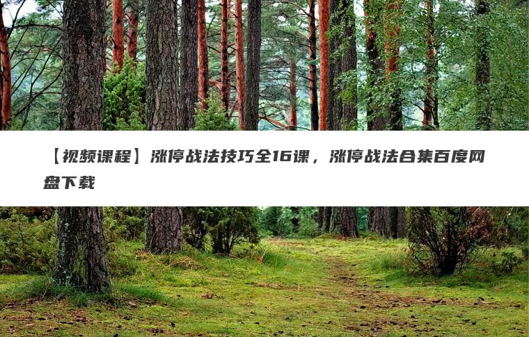 【视频课程】涨停战法技巧全16课,涨停战法合集百度网盘下载 【视频课程】涨停战法技巧全16课,涨停战法合集百度网盘下载