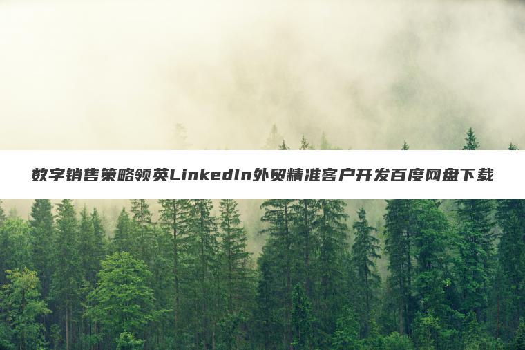 数字销售策略领英LinkedIn外贸精准客户开发百度网盘下载 数字销售策略领英LinkedIn外贸精准客户开发百度网盘下载