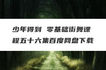 少年得到 零基础街舞课程五十六集百度网盘下载