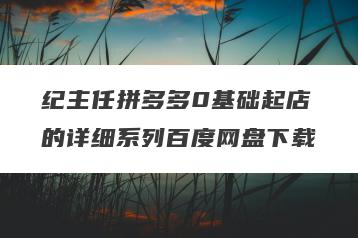 纪主任拼多多0基础起店的详细系列百度网盘下载