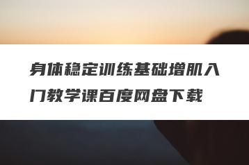 身体稳定训练基础增肌入门教学课百度网盘下载