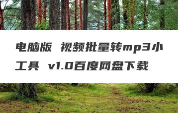 电脑版 视频批量转mp3小工具 v1.0百度网盘下载