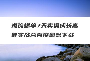 爆流爆单7天实操成长高能实战营百度网盘下载