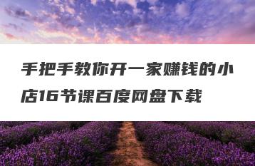 手把手教你开一家赚钱的小店16节课百度网盘下载