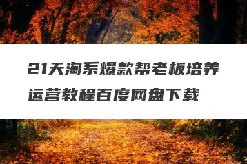 21天淘系爆款帮老板培养运营教程百度网盘下载