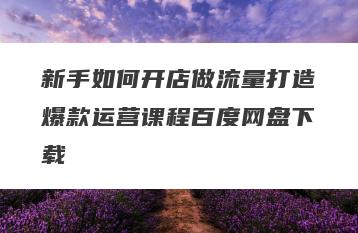 新手如何开店做流量打造爆款运营课程百度网盘下载