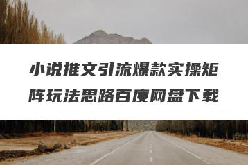 小说推文引流爆款实操矩阵玩法思路百度网盘下载