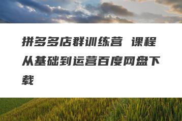 拼多多店群训练营 课程从基础到运营百度网盘下载