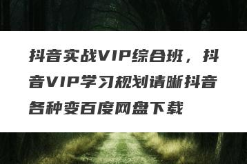 抖音实战VIP综合班，抖音VIP学习规划请晰抖音各种变百度网盘下载
