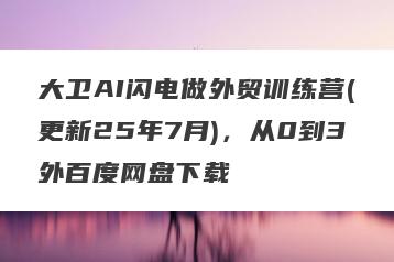 大卫AI闪电做外贸训练营(更新25年7月)，从0到3外百度网盘下载