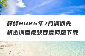 薛峰2025年7月洞彻先机密训营视频百度网盘下载