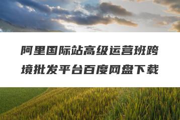 阿里国际站高级运营班跨境批发平台百度网盘下载