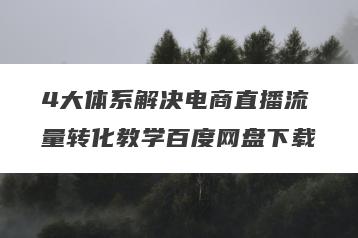4大体系解决电商直播流量转化教学百度网盘下载