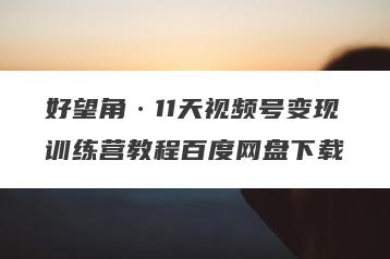好望角·11天视频号变现训练营教程百度网盘下载
