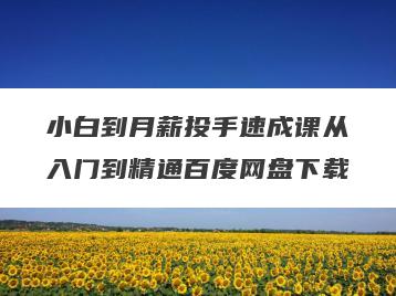 小白到月薪投手速成课从入门到精通百度网盘下载