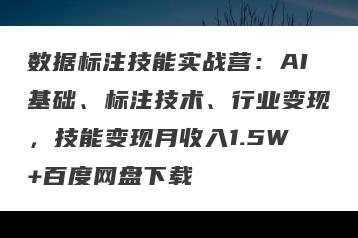 数据标注技能实战营：AI基础、标注技术、行业变现，技能变现月收入1.5W+百度网盘下载