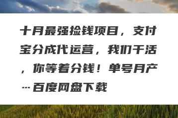 十月最强捡钱项目，支付宝分成代运营，我们干活，你等着分钱！单号月产…百度网盘下载