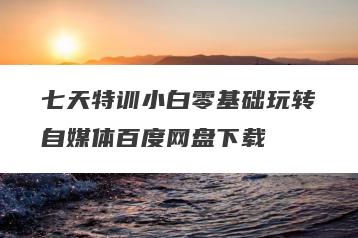七天特训小白零基础玩转自媒体百度网盘下载