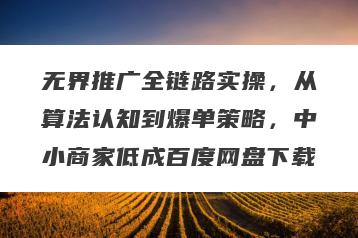 无界推广全链路实操，从算法认知到爆单策略，中小商家低成百度网盘下载