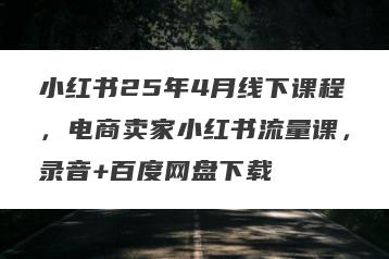 小红书25年4月线下课程，电商卖家小红书流量课，录音+百度网盘下载