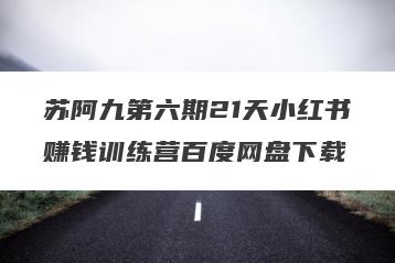 苏阿九第六期21天小红书赚钱训练营百度网盘下载