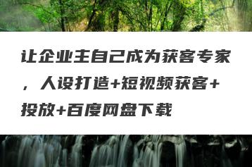 让企业主自己成为获客专家，人设打造+短视频获客+投放+百度网盘下载