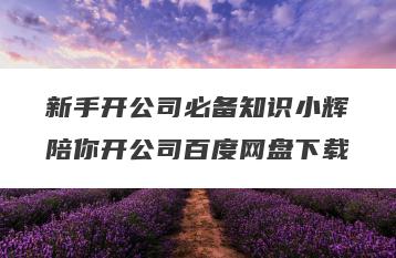 新手开公司必备知识小辉陪你开公司百度网盘下载