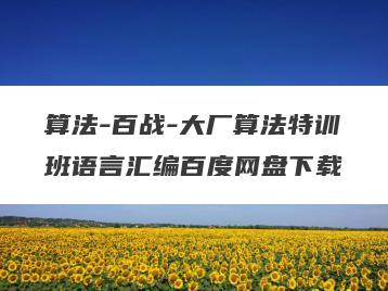 算法-百战-大厂算法特训班语言汇编百度网盘下载