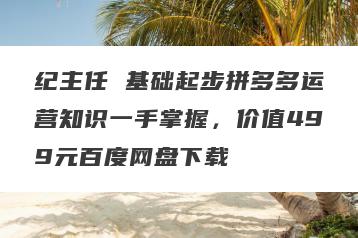 纪主任 基础起步拼多多运营知识一手掌握，价值499元百度网盘下载