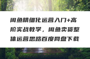闲鱼精细化运营入门+高阶实战教学，闲鱼卖货整体运营思路百度网盘下载