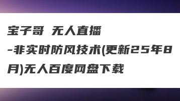 宝子哥・无人直播-非实时防风技术(更新25年8月)无人百度网盘下载