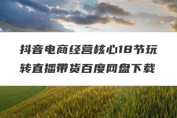 抖音电商经营核心18节玩转直播带货百度网盘下载