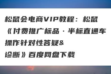 松鼠会电商VIP教程：松鼠《付费推广标品·半标直通车操作针对性答疑&诊断》百度网盘下载