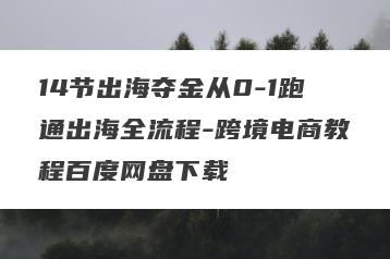14节出海夺金从0-1跑通出海全流程-跨境电商教程百度网盘下载