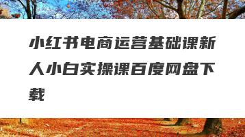 小红书电商运营基础课新人小白实操课百度网盘下载
