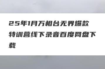 25年1月万相台无界爆款特训营线下录音百度网盘下载