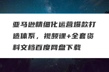 亚马逊精细化运营爆款打造体系，视频课+全套资料文档百度网盘下载
