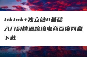 tiktok+独立站0基础入门到精通跨境电商百度网盘下载