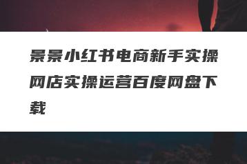 景景小红书电商新手实操网店实操运营百度网盘下载