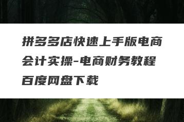 拼多多店快速上手版电商会计实操-电商财务教程百度网盘下载