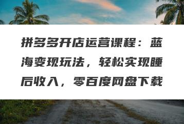 拼多多开店运营课程：蓝海变现玩法，轻松实现睡后收入，零百度网盘下载
