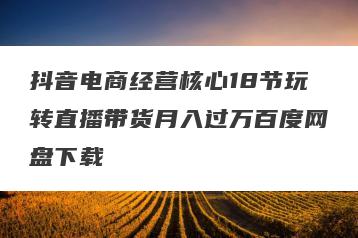 抖音电商经营核心18节玩转直播带货月入过万百度网盘下载