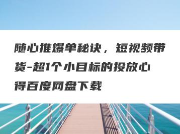 随心推爆单秘诀，短视频带货-超1个小目标的投放心得百度网盘下载
