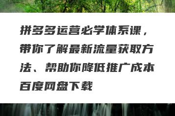 拼多多运营必学体系课，带你了解最新流量获取方法、帮助你降低推广成本百度网盘下载