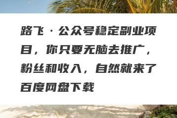 路飞·公众号稳定副业项目，你只要无脑去推广，粉丝和收入，自然就来了百度网盘下载