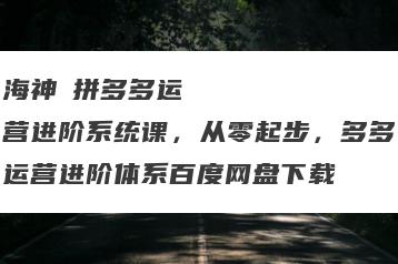 海神・拼多多运营进阶系统课，从零起步，多多运营进阶体系百度网盘下载